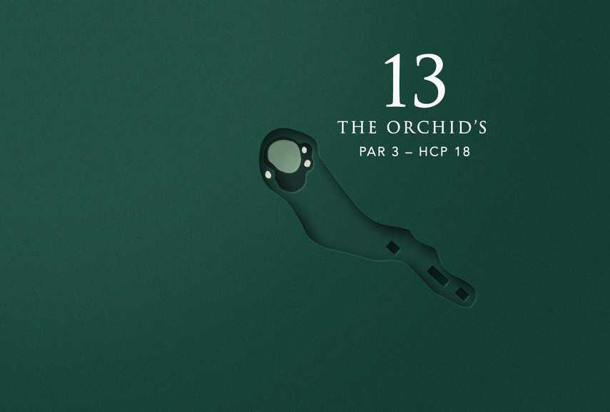 The Orchid’s - grafik som visar hål 13 på dwgk